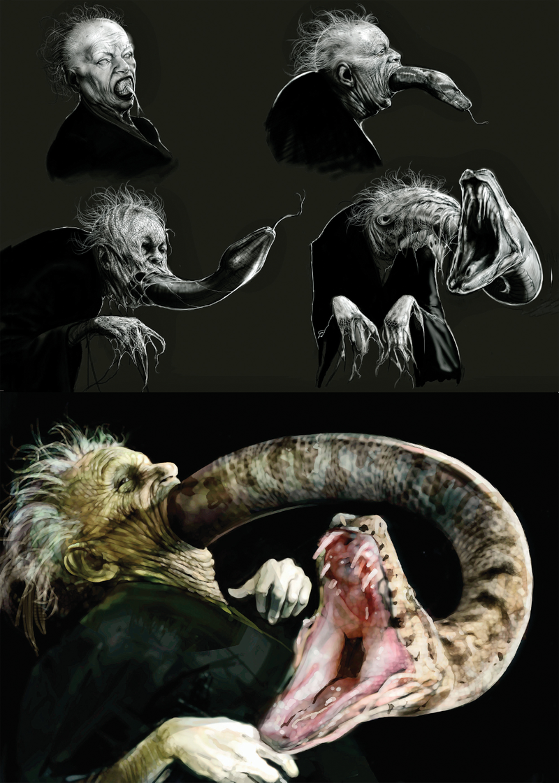 Illustration for article titled Harry Potter's Dragons And Other Beasts, As You've Never Seen Them